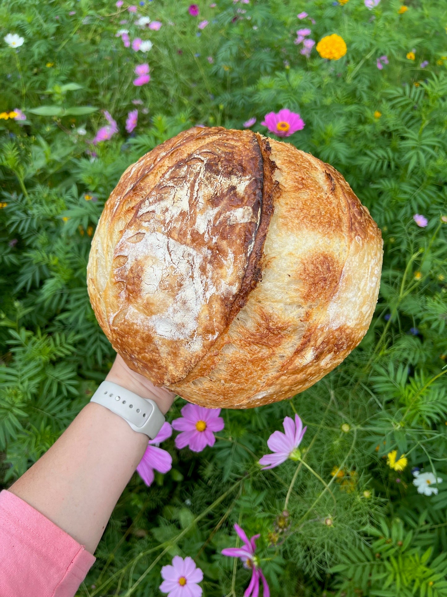 "Hattie" Rooted Homestead Sourdough Starter