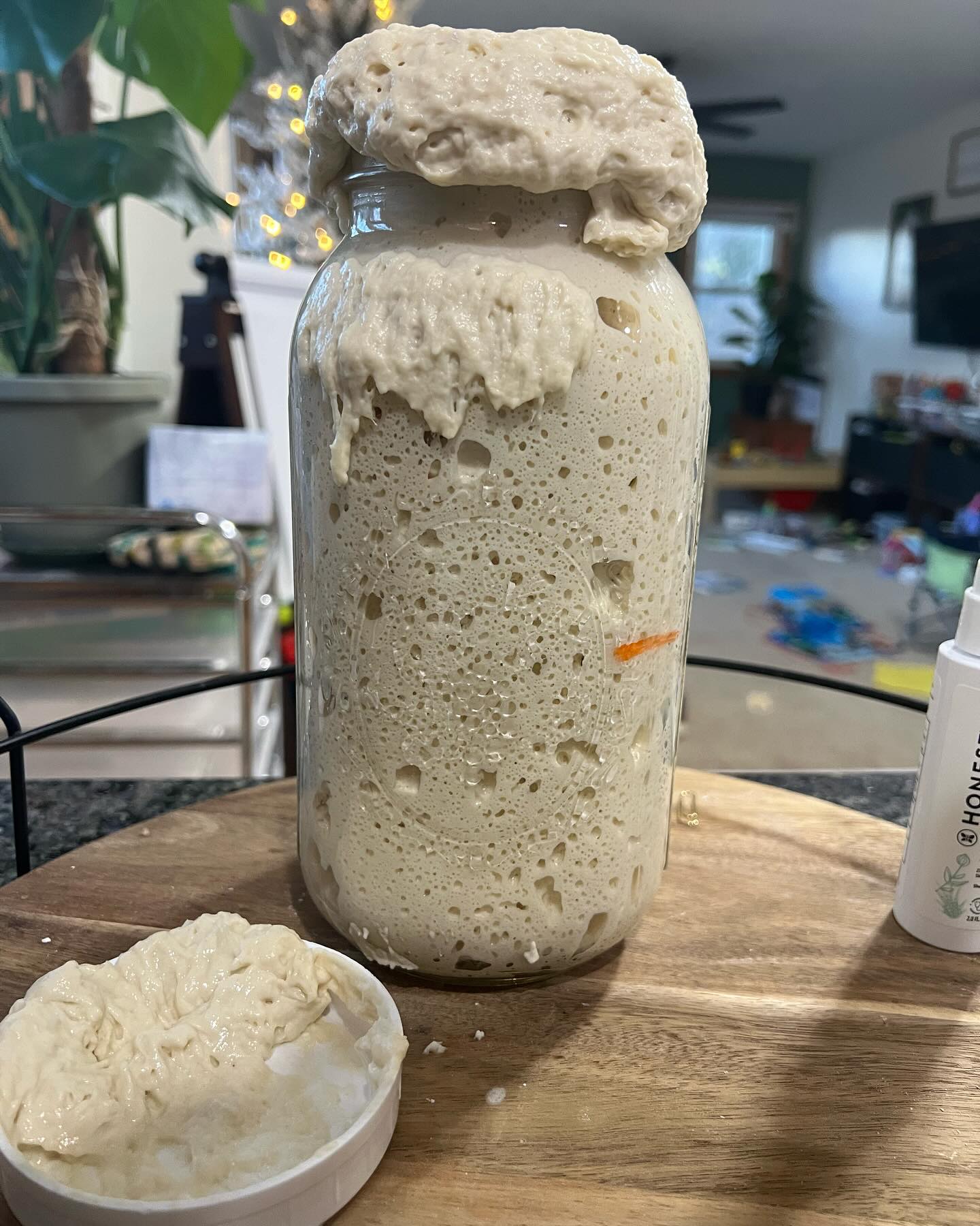 "Hattie" Rooted Homestead Sourdough Starter