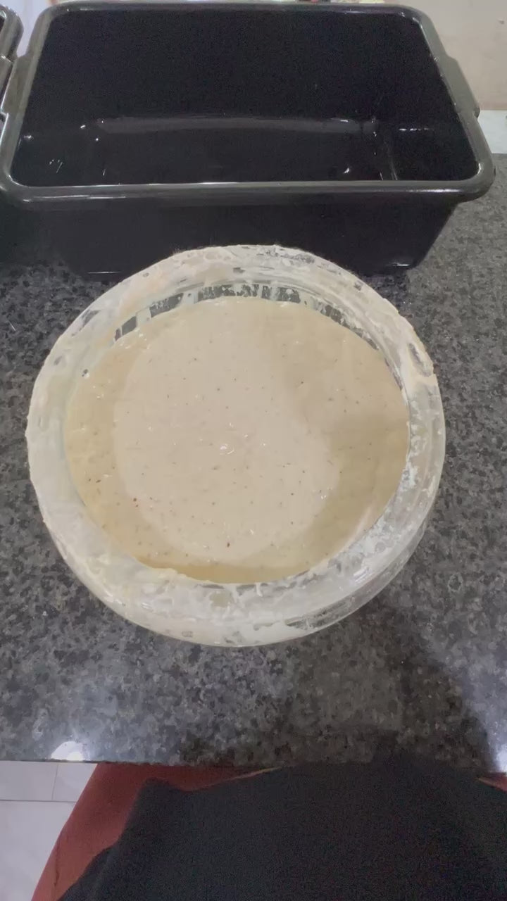 B The Sourdough Starter – Roots 'N' Boots