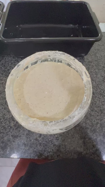 "Hattie" Rooted Homestead Sourdough Starter